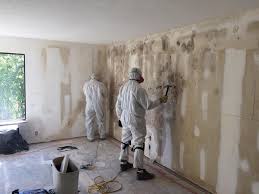 Best Environmental Consulting for Mold Prevention in Ely, MN